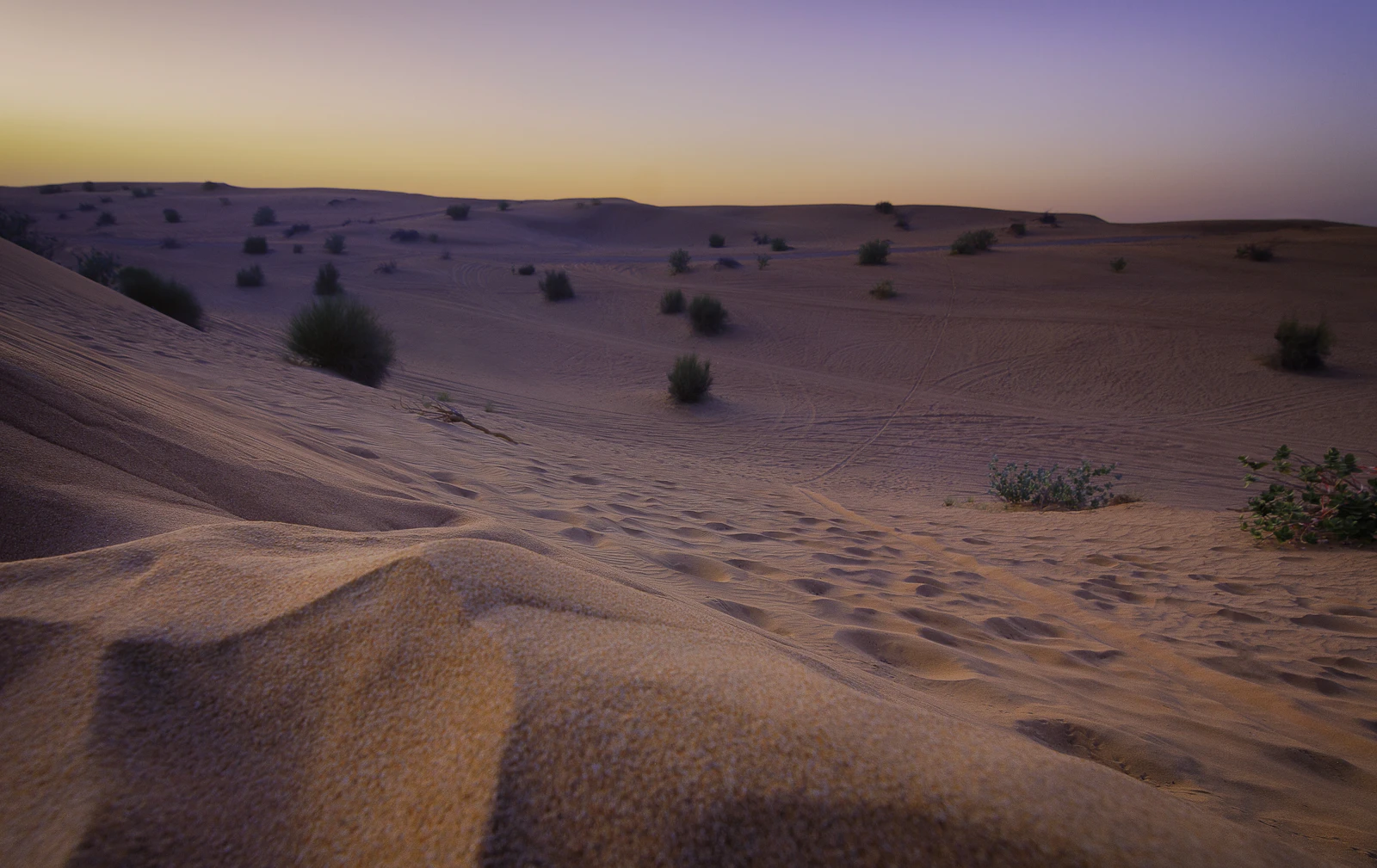 Golden desert dunes in the Dubai desert