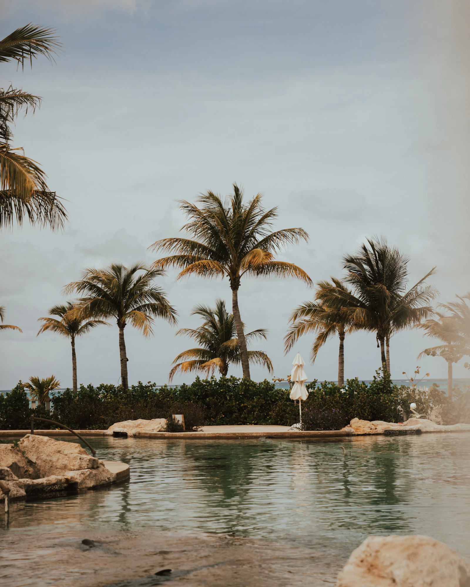 Tropical resort pool with palm trees and ocean
