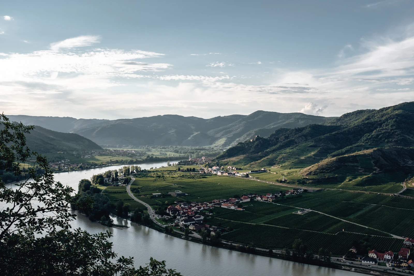 Wachau Valley vineyards along the Danube River